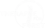 Therapie für First